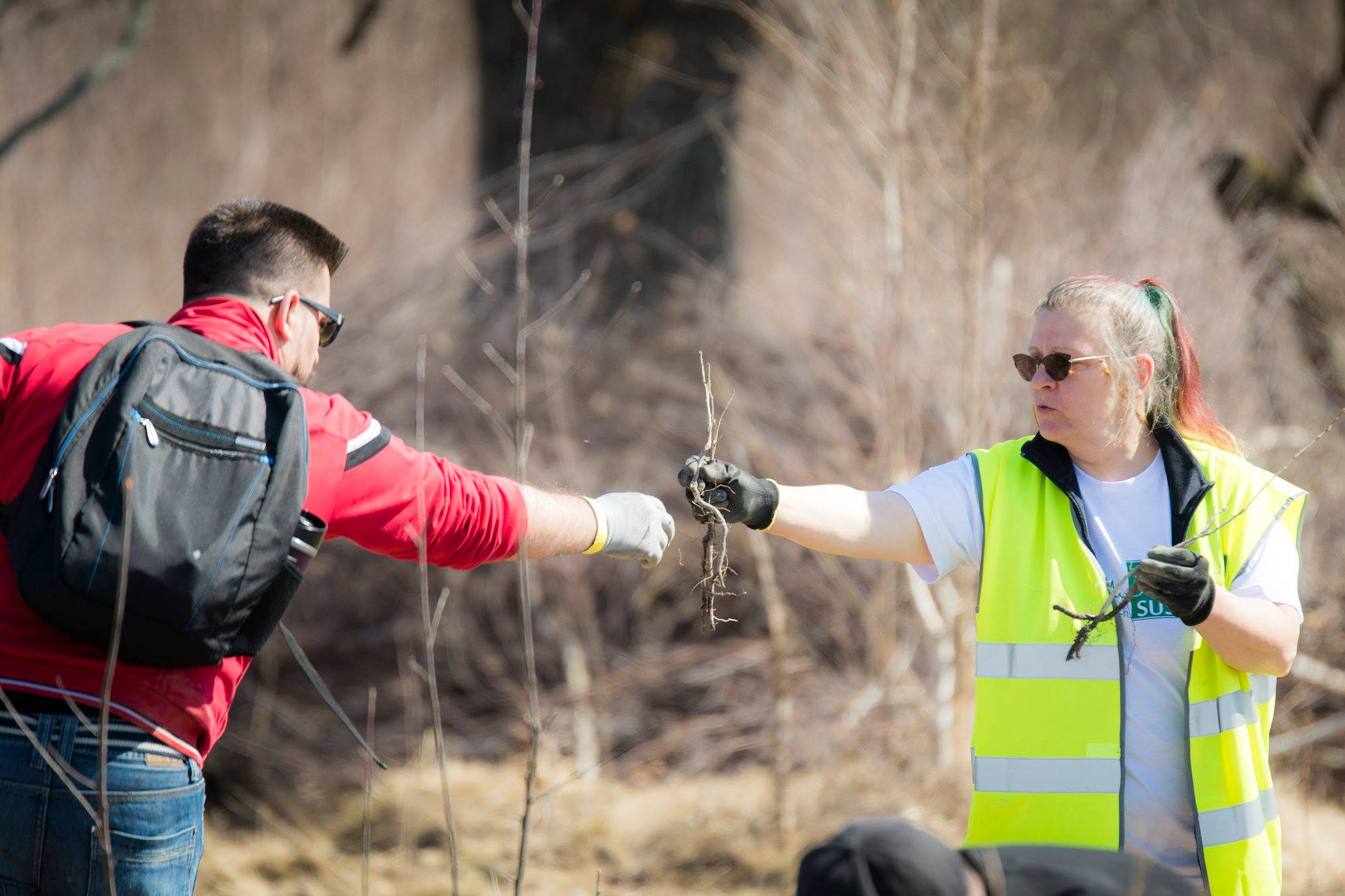 Arpasu Mars 2019 Preview 2